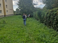 Sprzątanie świata - klasy IV-VIII