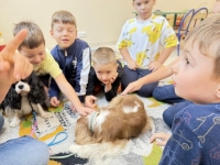 Dogoterapia w Biedronkach