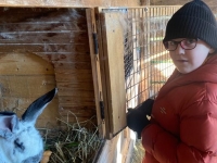 Wycieczka do Doliny Alpak w Oświęcimiu - Grupy Motylki i Elfy