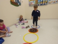 Kotki - ścieżka sensoryczna