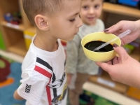 Eksperymenty w Kangurkach