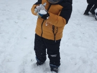 Biedronki korzystają z uroków zimy