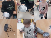 Aktywność w Biedronkach